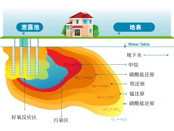 溶解氧是微生物在地下有机污染生物降解过程中使用的首选电子受体